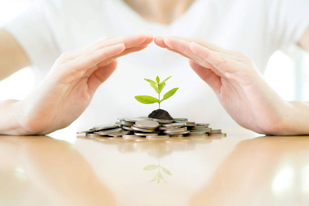 7 Tips Menabung Laba Usaha untuk Modal Nikah yang Ampuh dan Anti Bangkrut